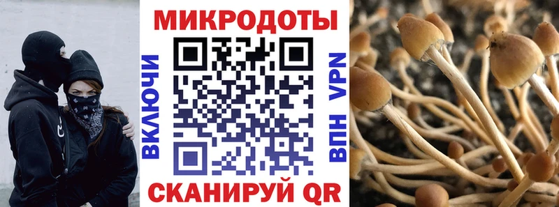 Псилоцибиновые грибы MAGIC MUSHROOMS  Сергач 